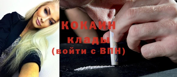 крисы Алзамай