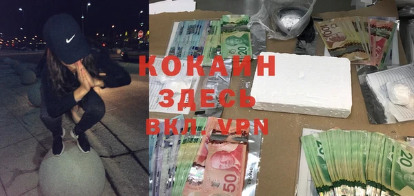 твердый Алексеевка