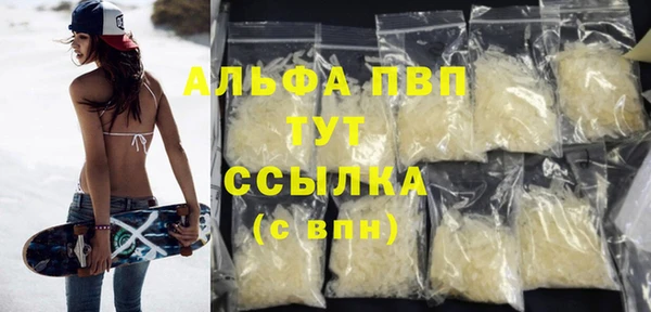 крисы Алзамай