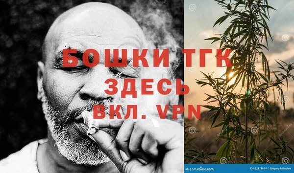 герыч Алексин