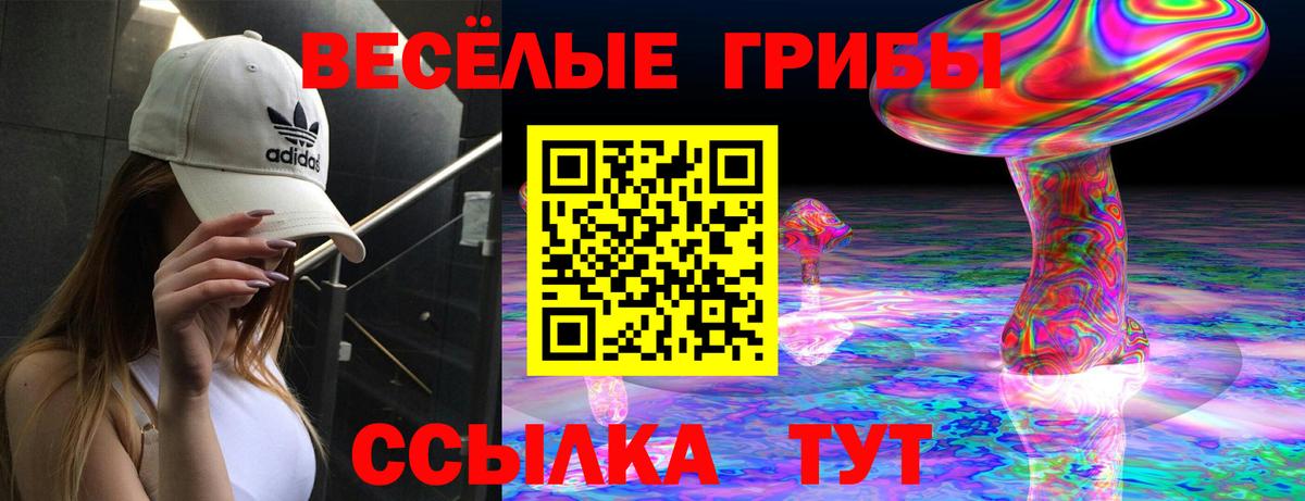 Псилоцибиновые грибы Psilocybe Тейково
