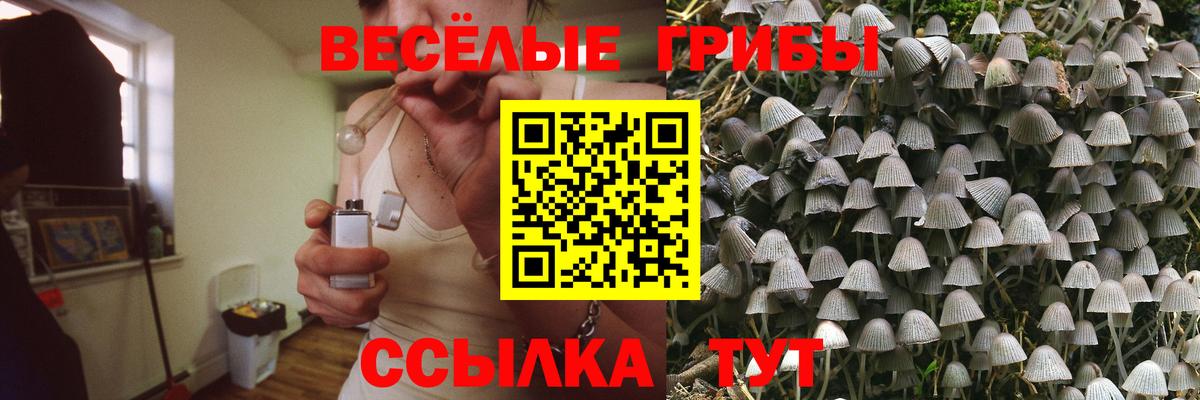 Тейково  Галлюциногенные грибы прущие грибы  Вход с VPN 